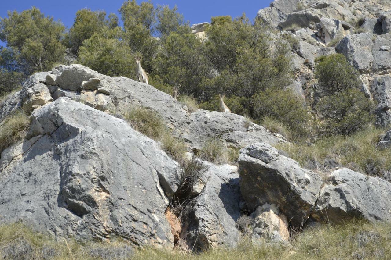 Cueva La Yuca