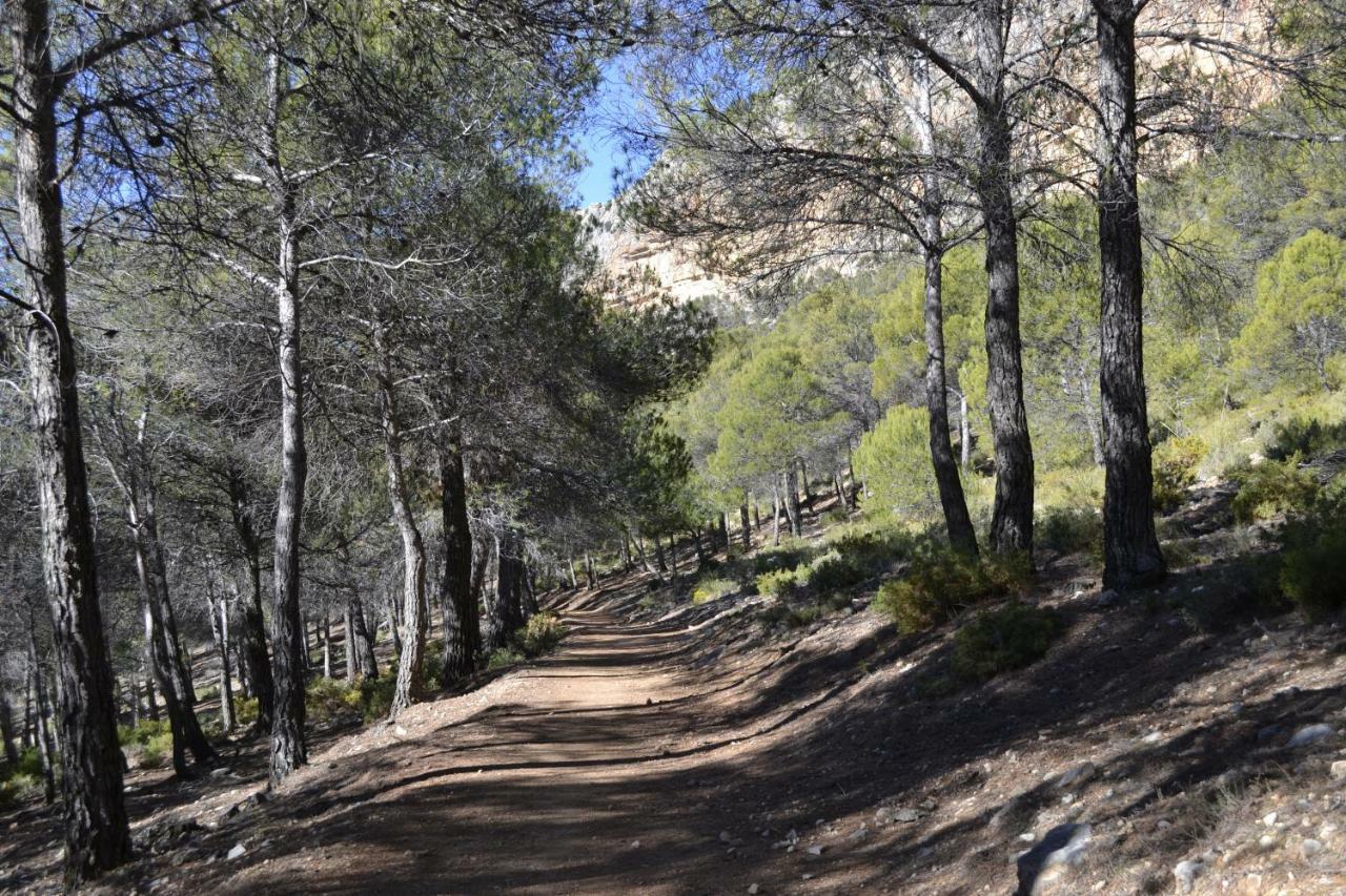 Casa rural Cueva La Yuca *