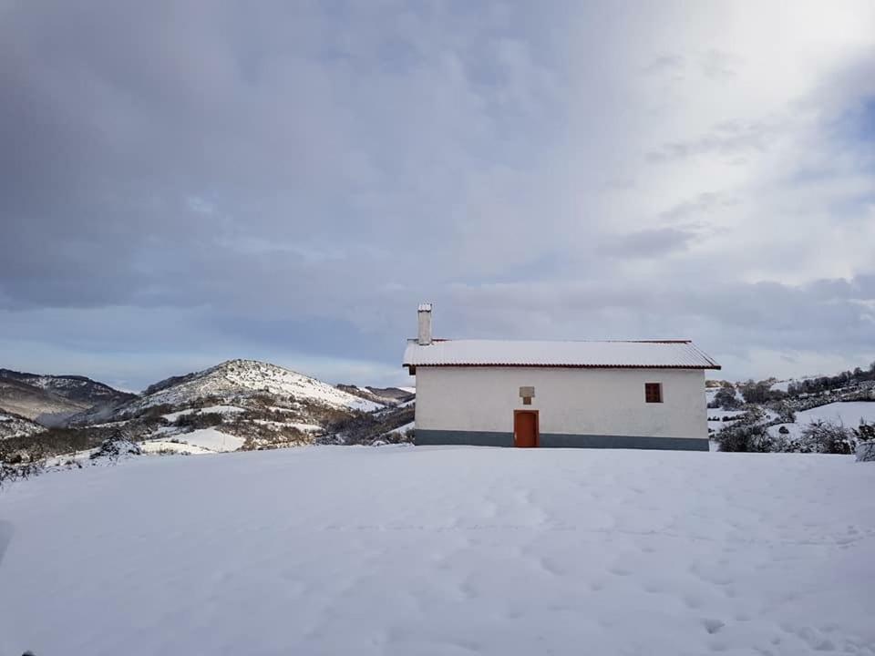 Casa Artegia *