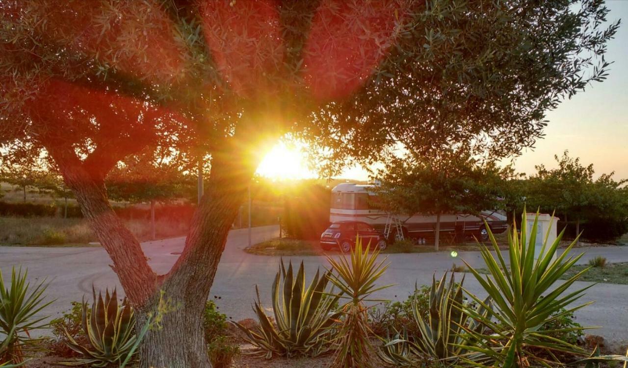 Campsite Maestrat Park Static Homes, Motorhomes, Caravans & Tents San Jorge (Castellon)