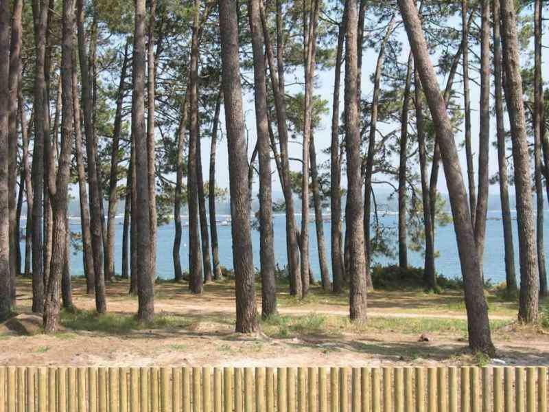 Playa Apartment Isla de Arosa