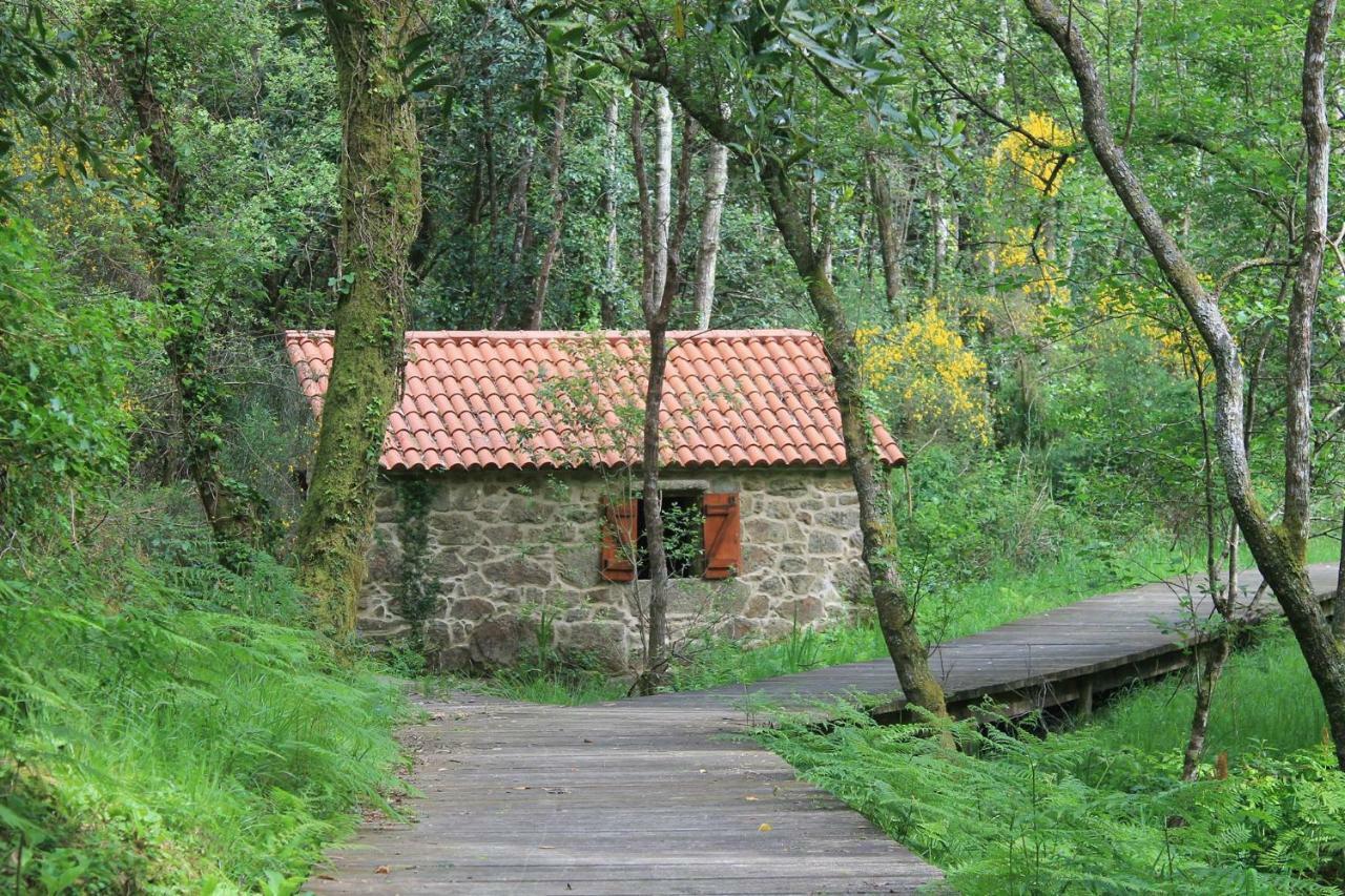 Atlantico Hostel