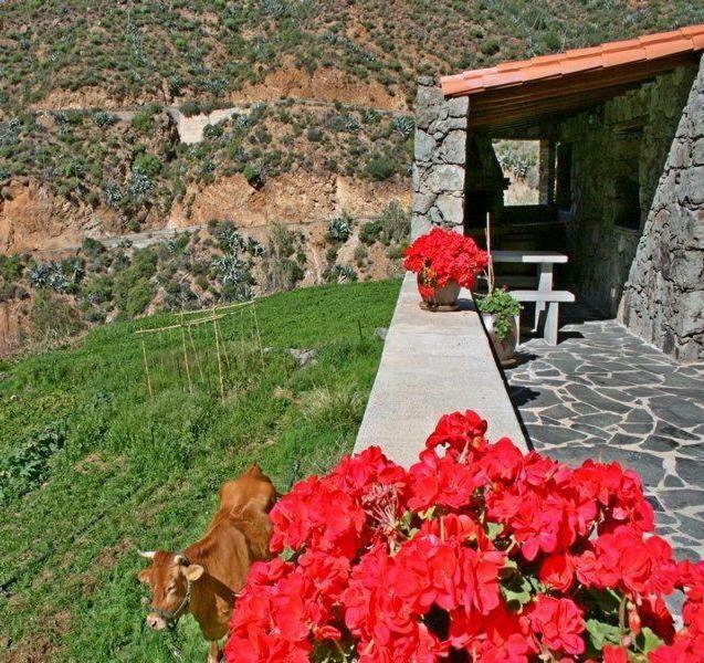 El Coronel Country house Tejeda (Gran Canaria)