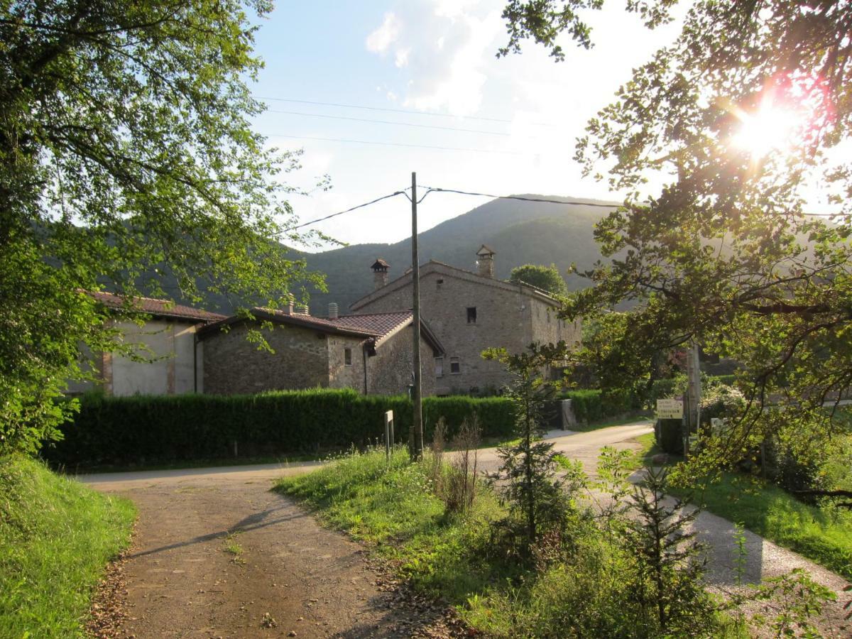 Mas El Llach Casa rural *