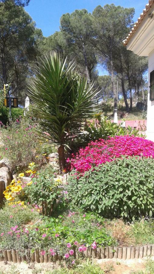Casa Encantadora Con Piscina Privada Y Chimenea Holiday home Las Jaras