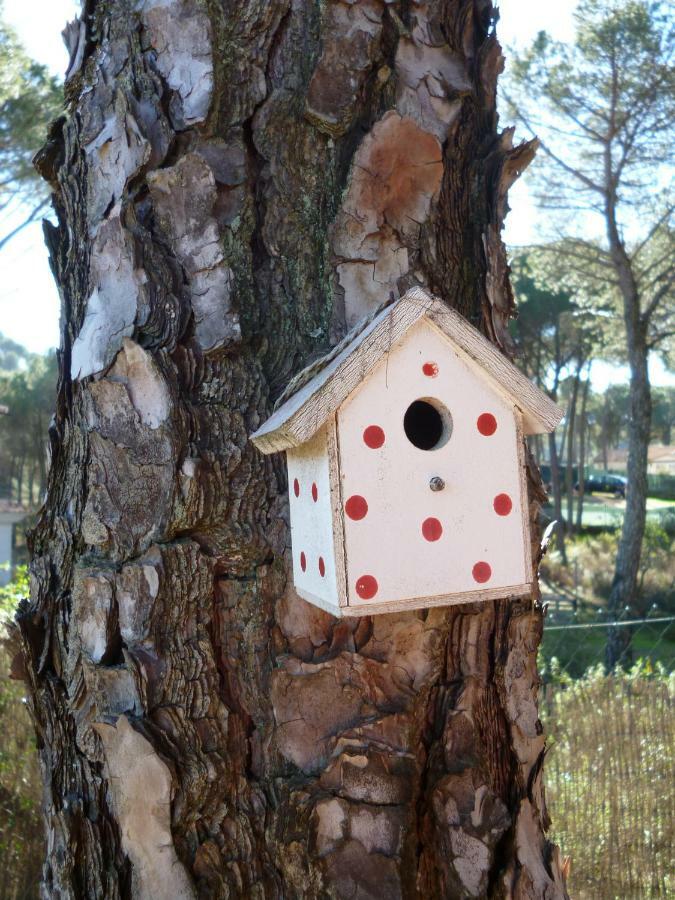 Casa Encantadora Con Piscina Privada Y Chimenea Holiday home *