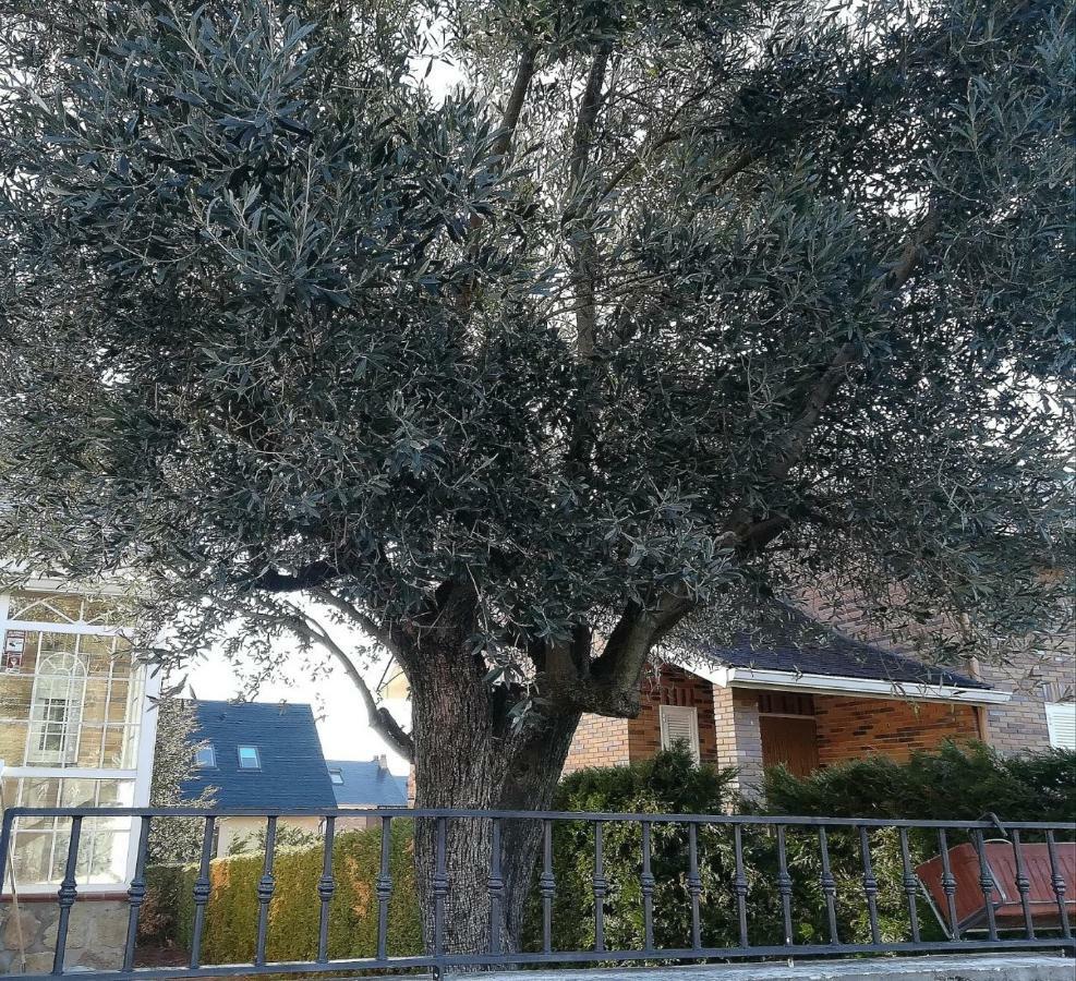 Holiday home El Rincon De Alicia