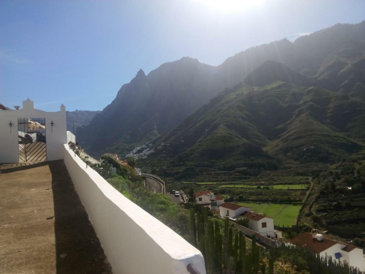 Makondo * Agaete (Gran Canaria)