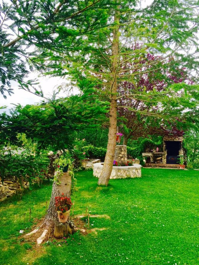 El Covanchon Country house Pradena