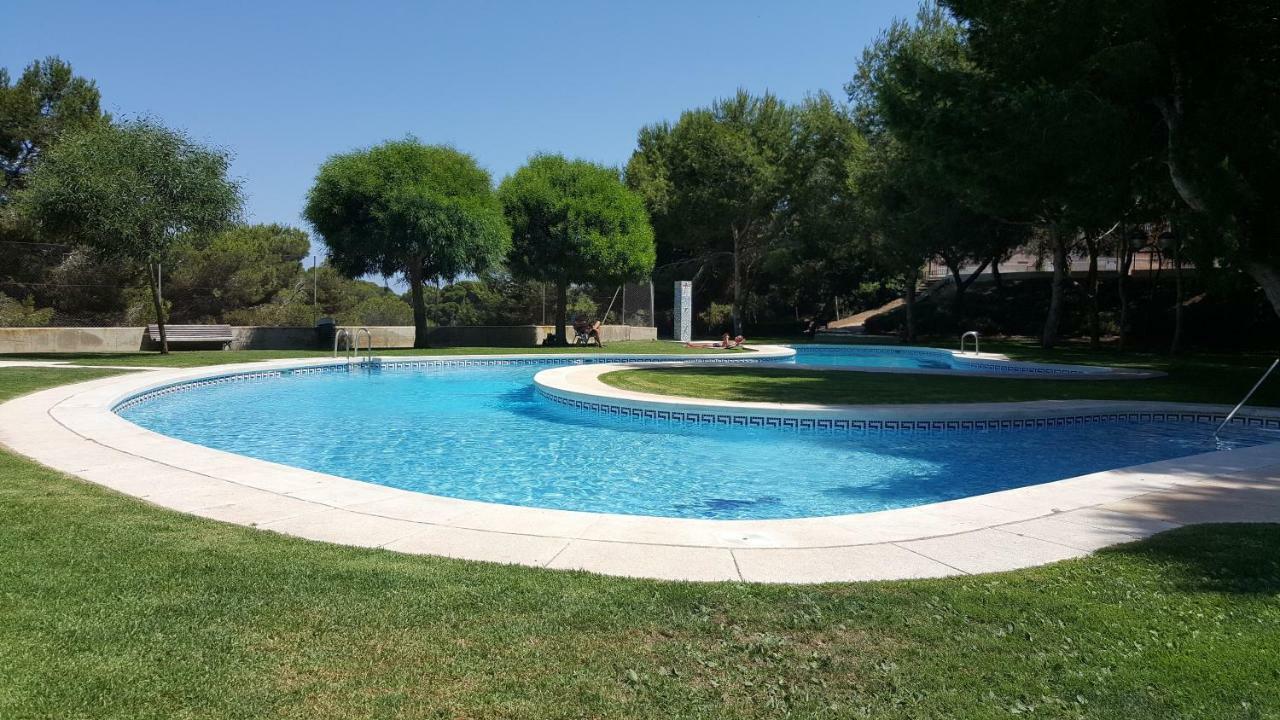 Altos De Apartment Campoamor