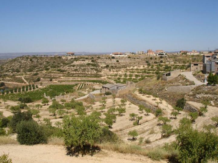 Casa rural Los Trulls D´auligué La Pobla de Massaluca