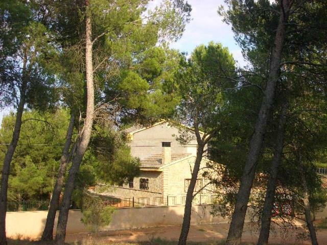 Casilla Del Pinar Holiday home