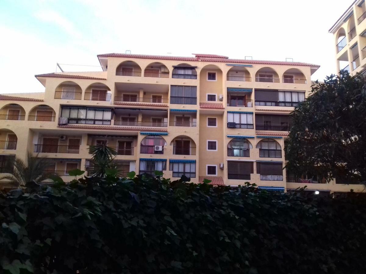 Apartment Daria La Mata (Torrevieja)