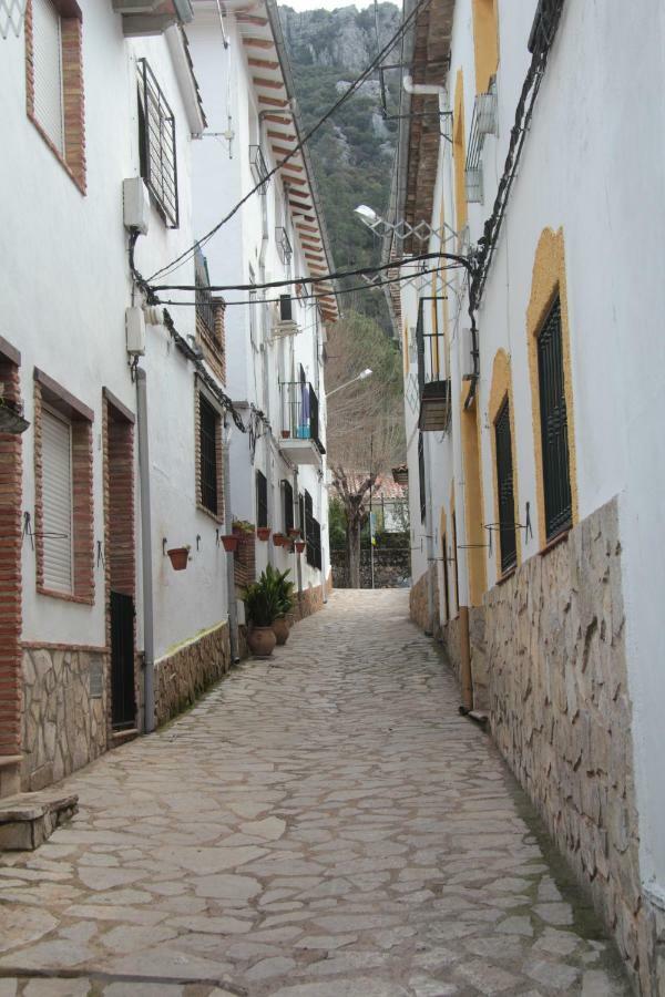 Vivienda Pineros Apartamento *