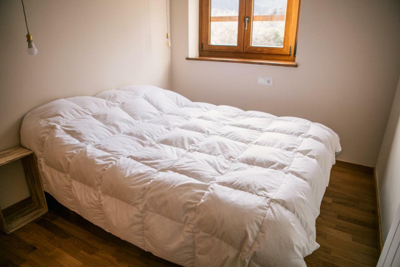 Apartamento Esterri Isavarre