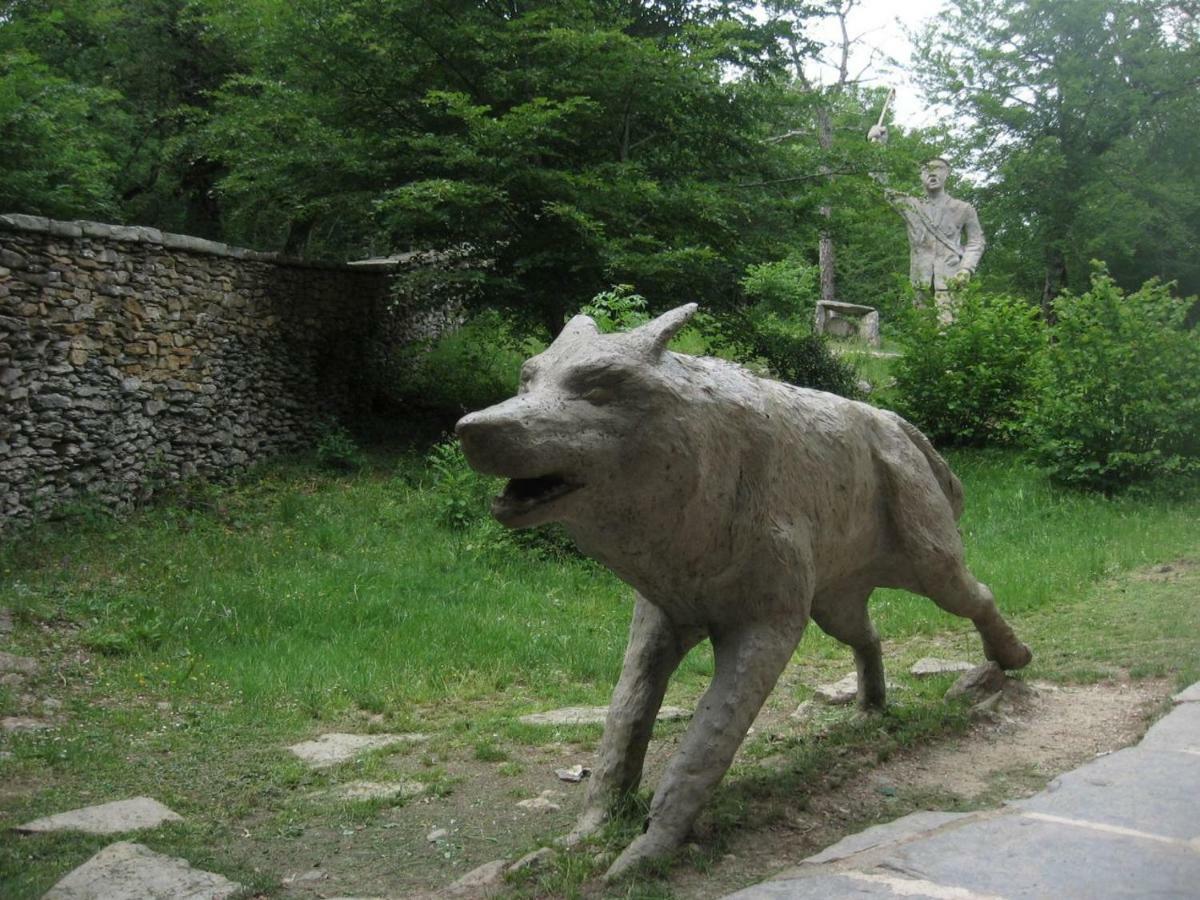 El Txakoli Amurrio
