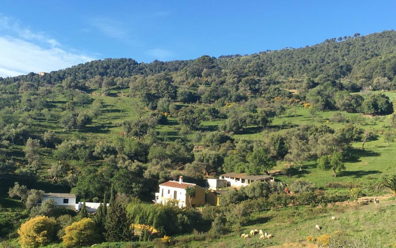 Cortijo Arroyo Del Moro