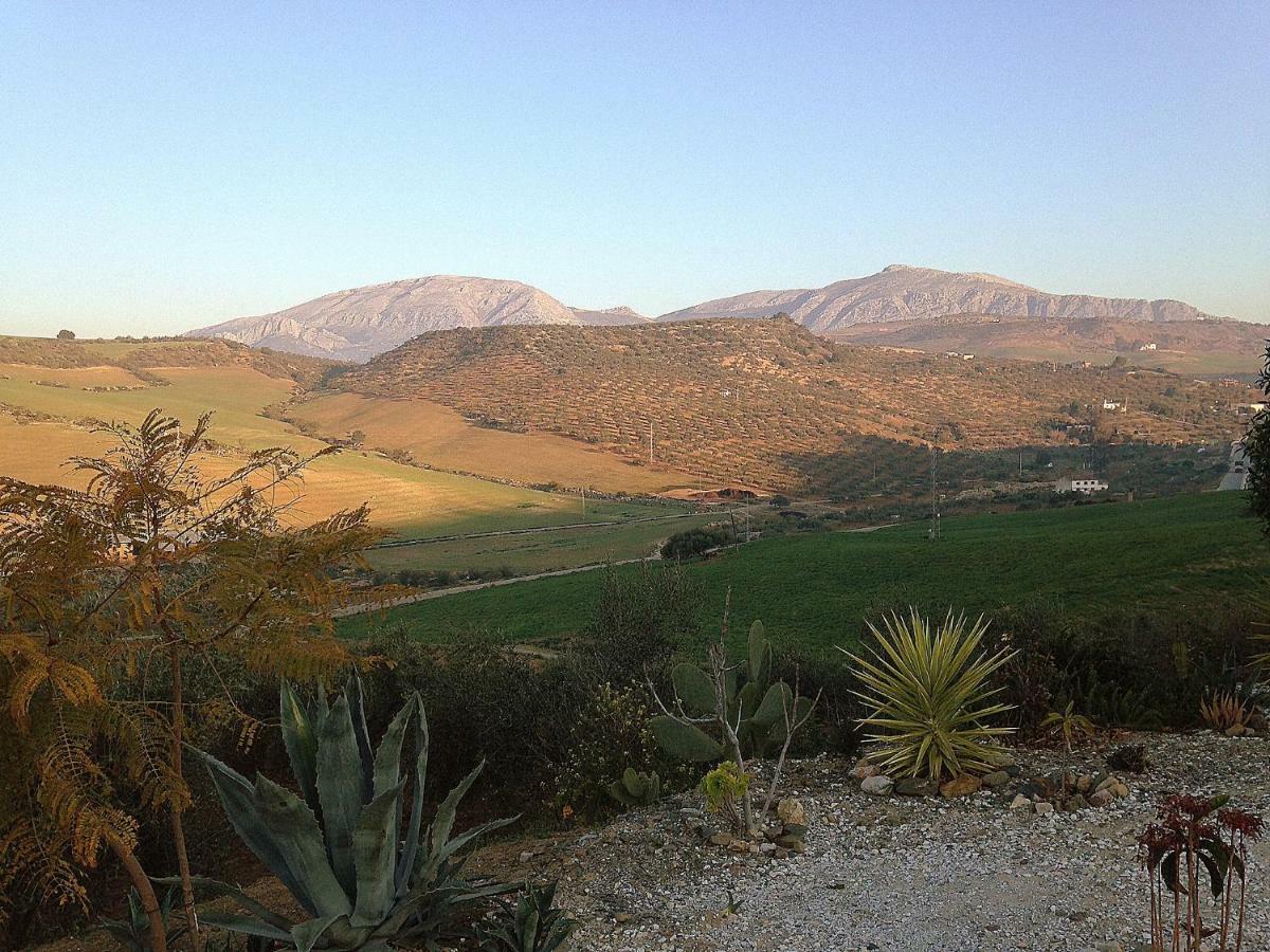 Casa Las Olivas Bed & Breakfast Alora