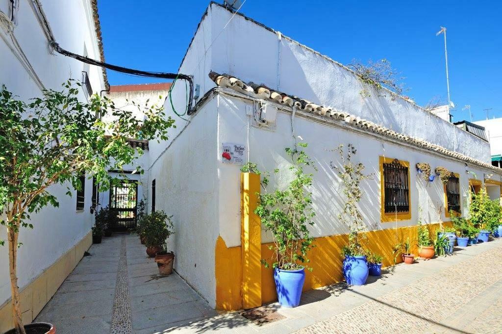 De Patios