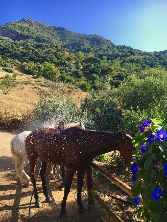 Holiday home Cortijo Arroyo Del Moro *