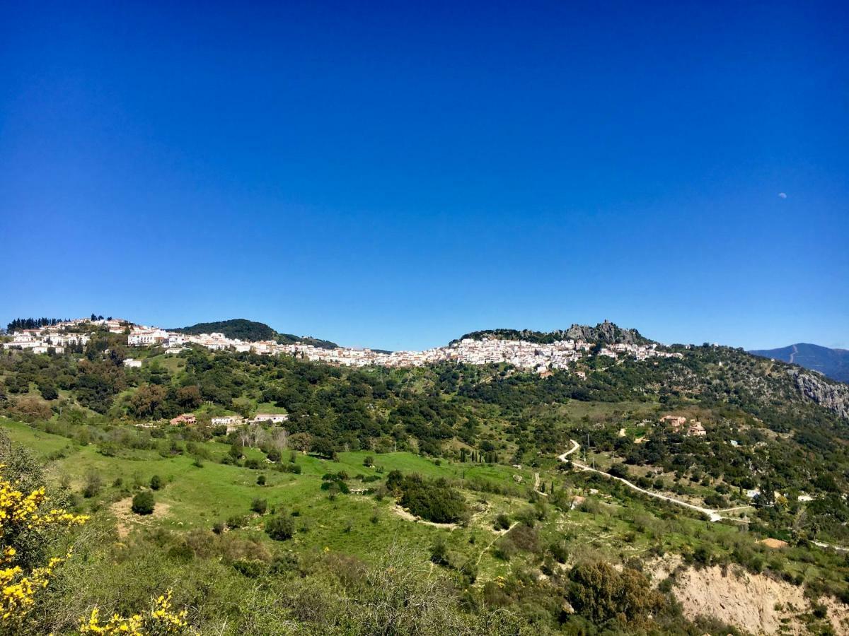 Cortijo Arroyo Del Moro