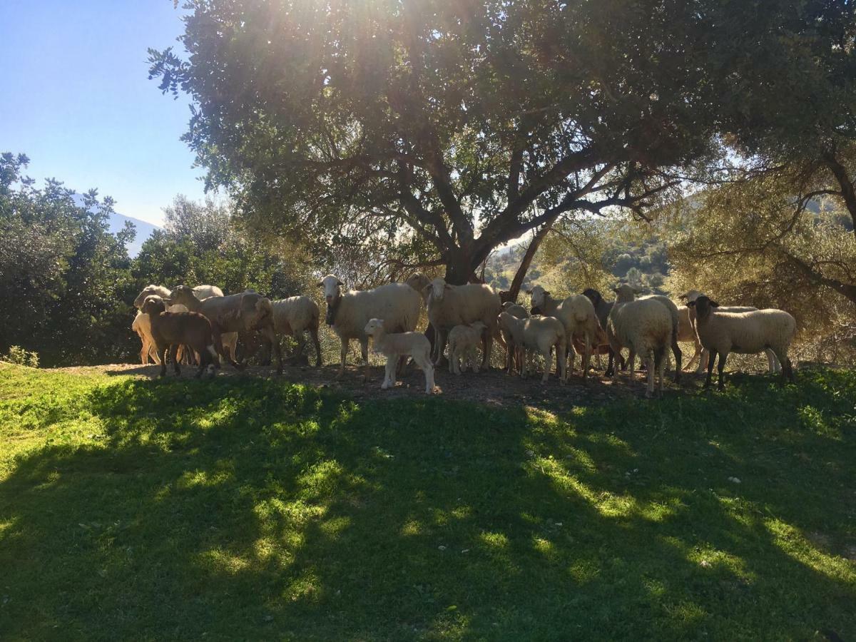 Cortijo Arroyo Del Moro Holiday home *