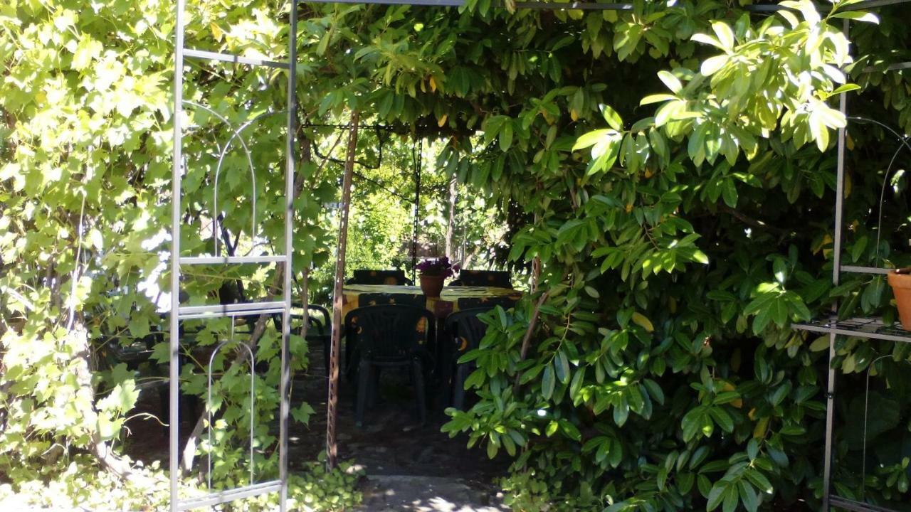 Country house El Condado *