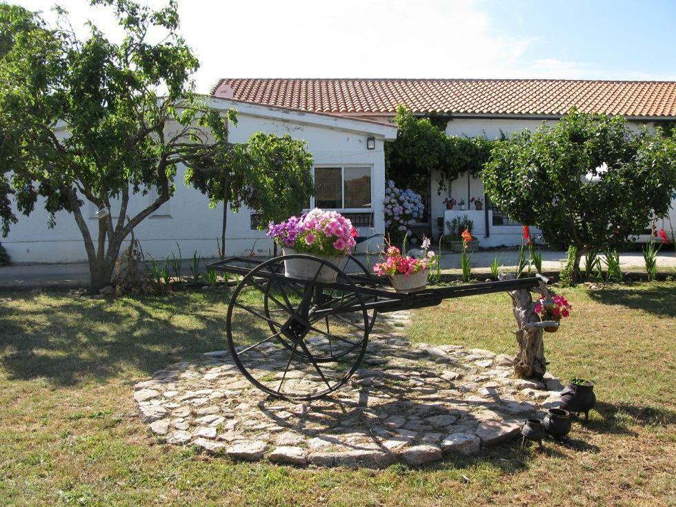 Country house El Condado *