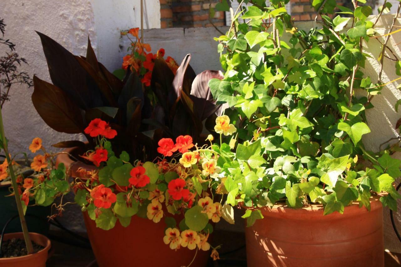 Casa Jazmin