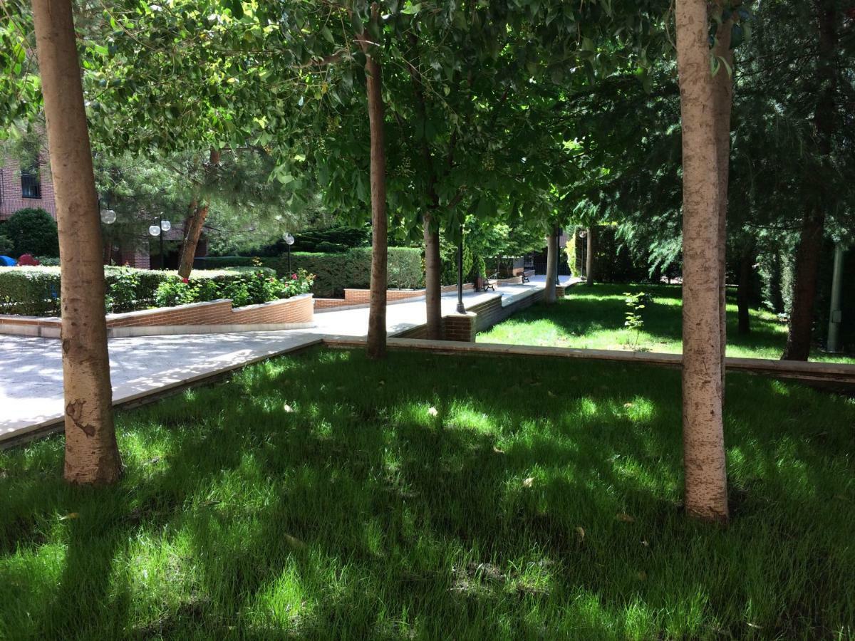 Apartment Premium Luxury City Center Madrid - Alojamiento De Temporada Madrid