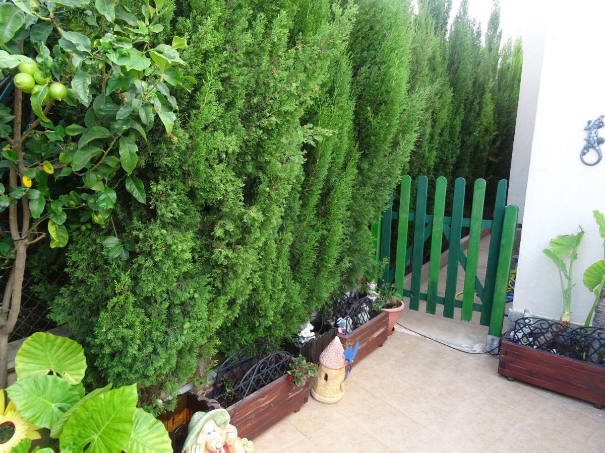 Mirador De Balcones