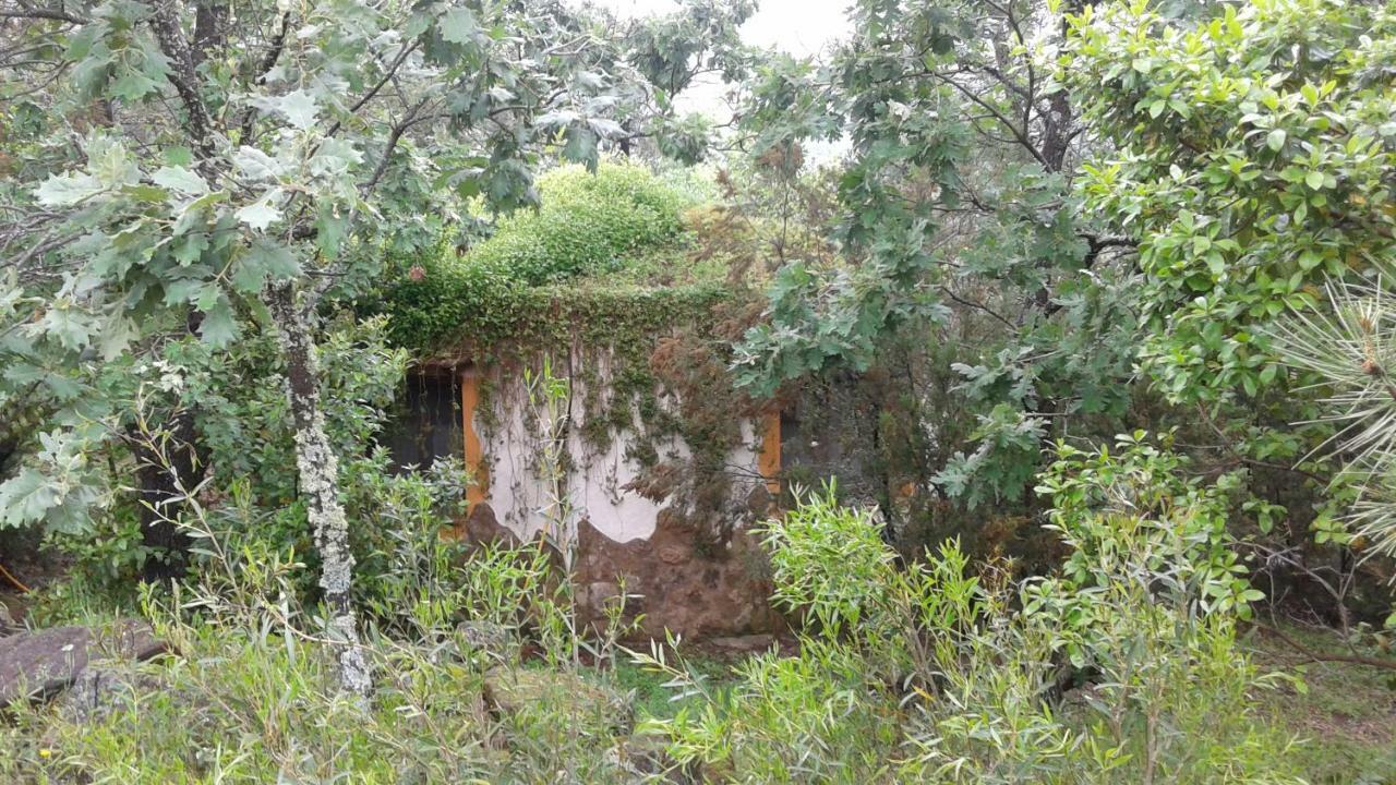 Rurales Ecopangea Country house Valverde de la Vera