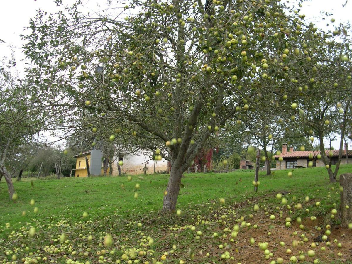 Turismo Rural El Sidron * Pilona
