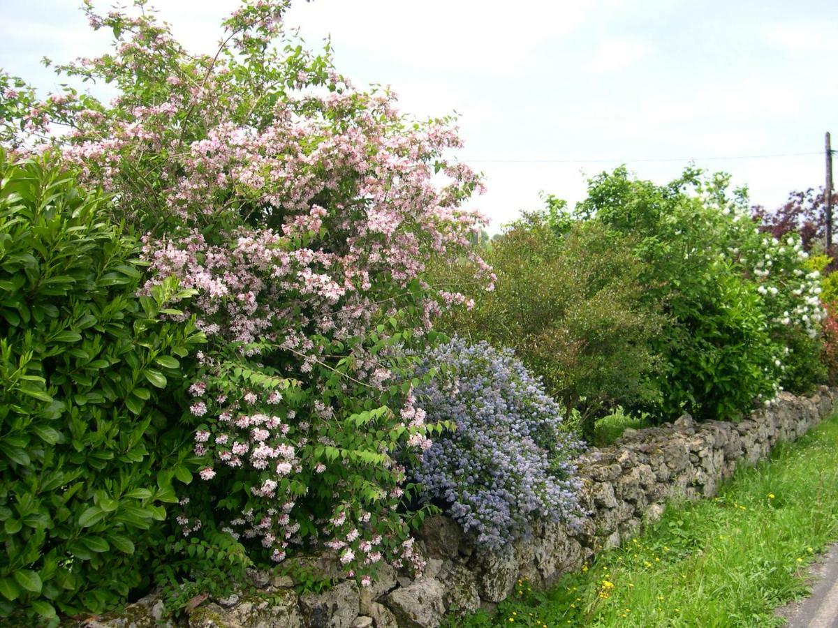 Turismo Rural El Sidron Country house *