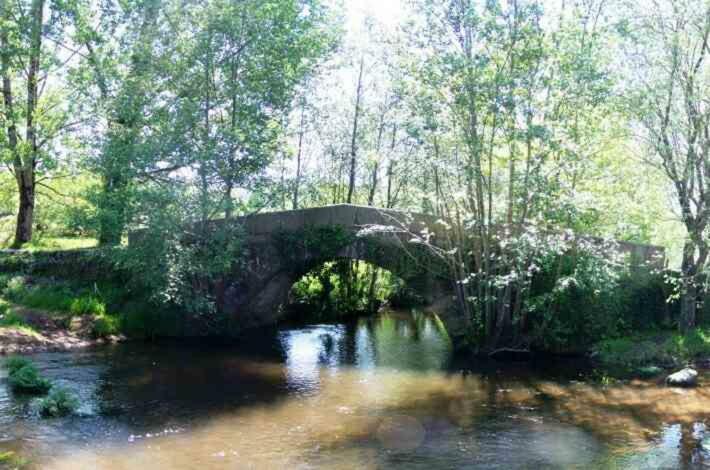 Caminantes 2* Ribadiso