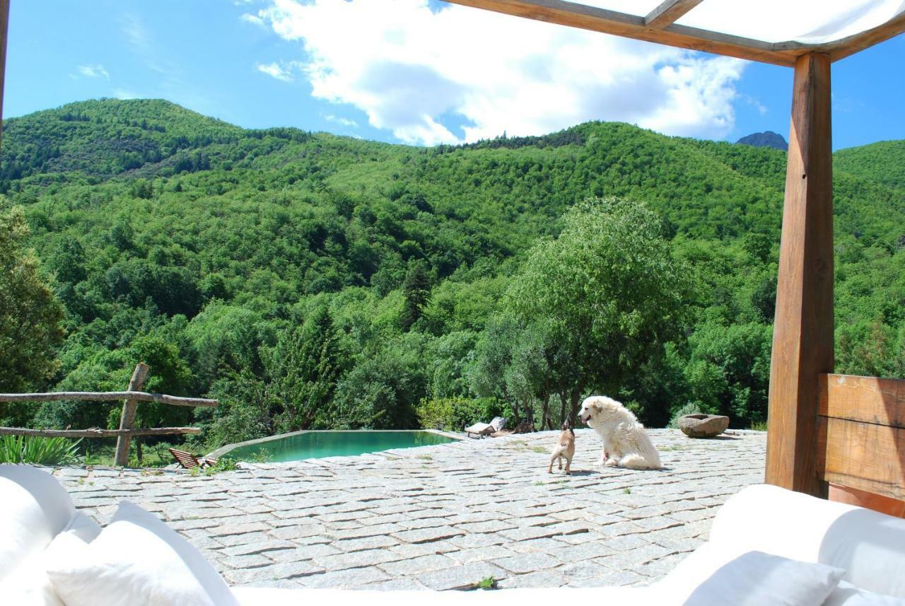 El Solei Paraiso En El Montseny Country house Arbucies