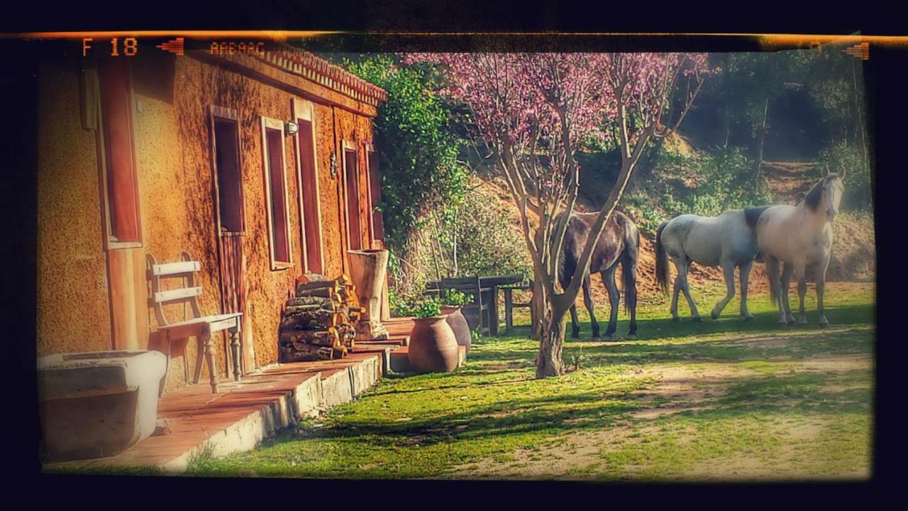 Country house El Solei Paraiso En El Montseny Arbucies