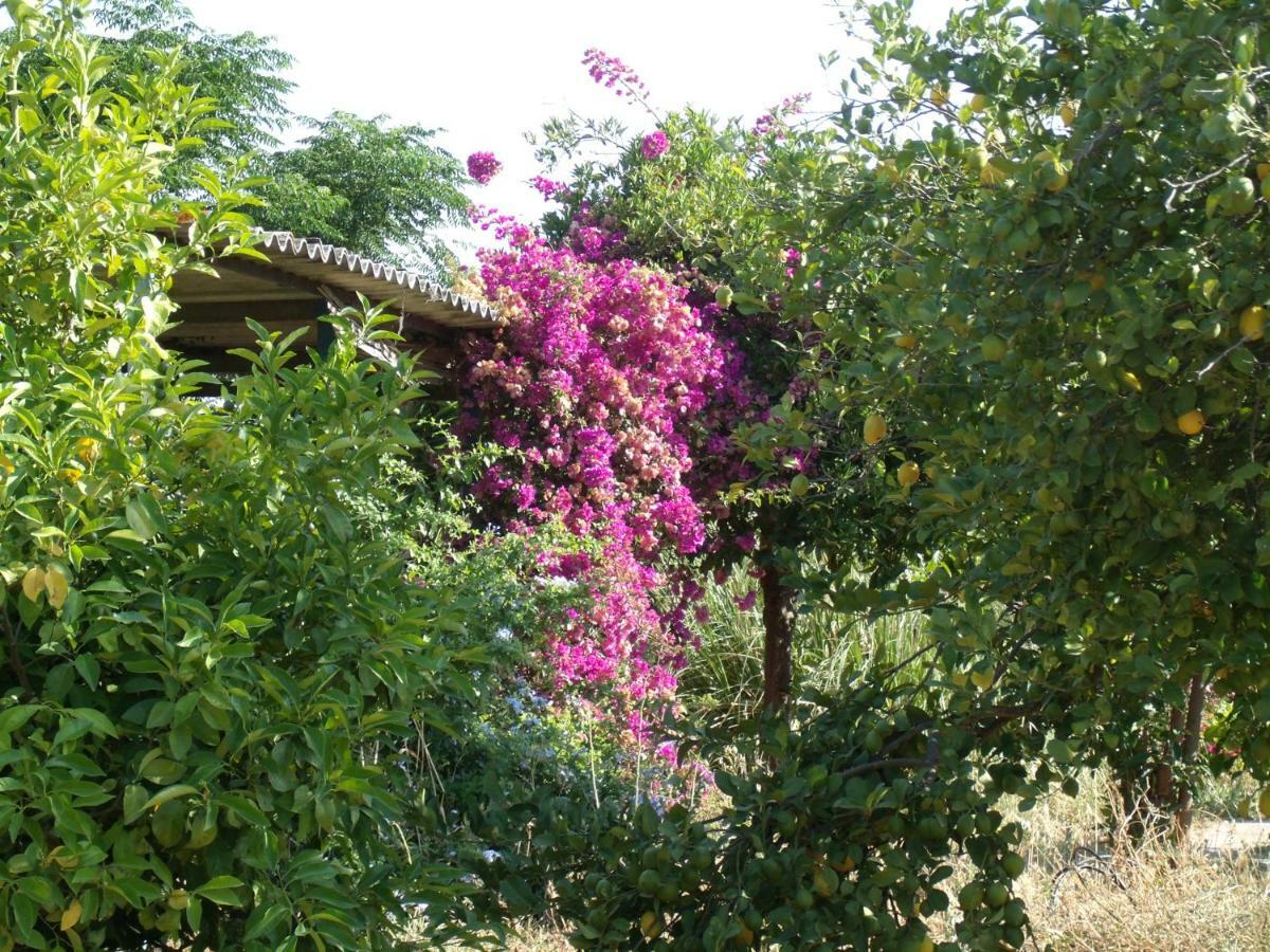 Country house La Blanca Alora