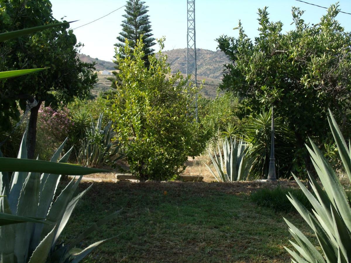 La Blanca *