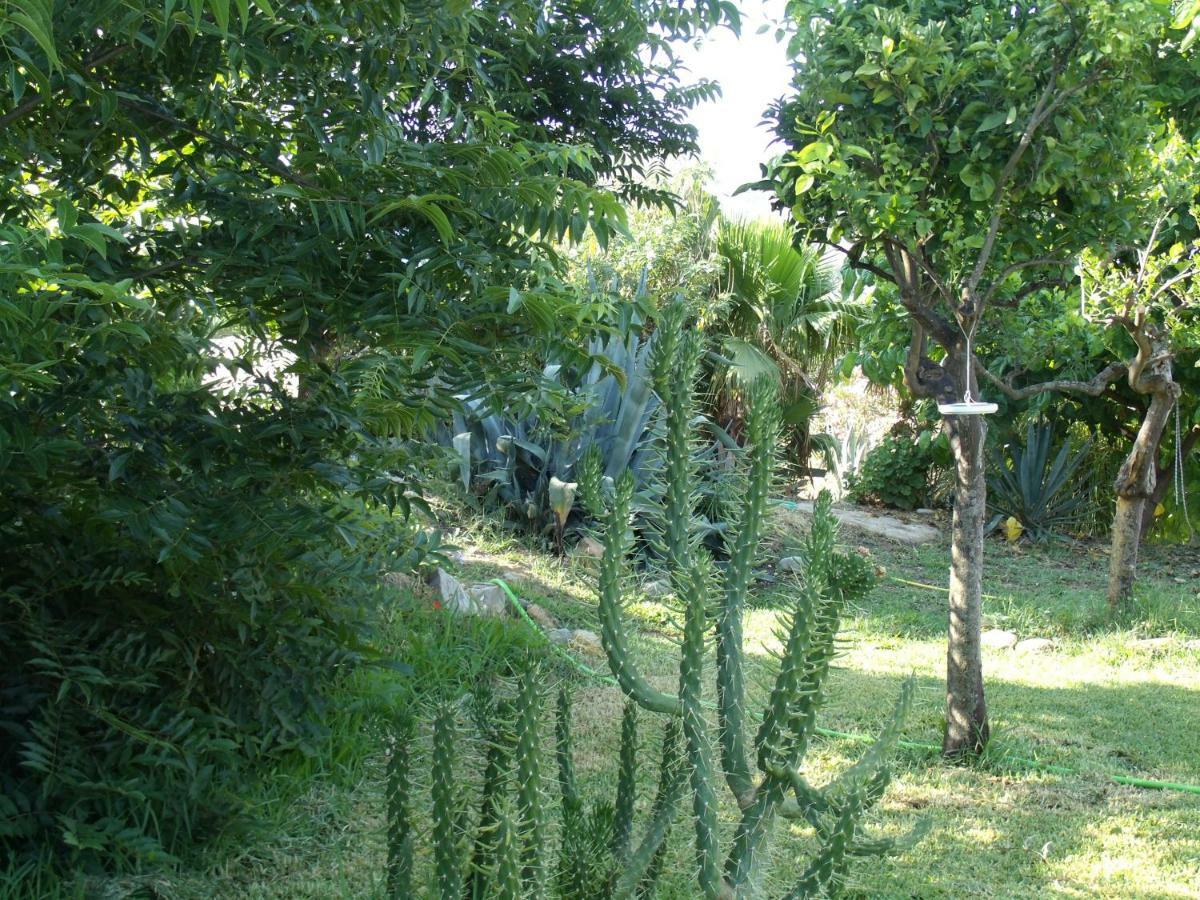 La Blanca Alora
