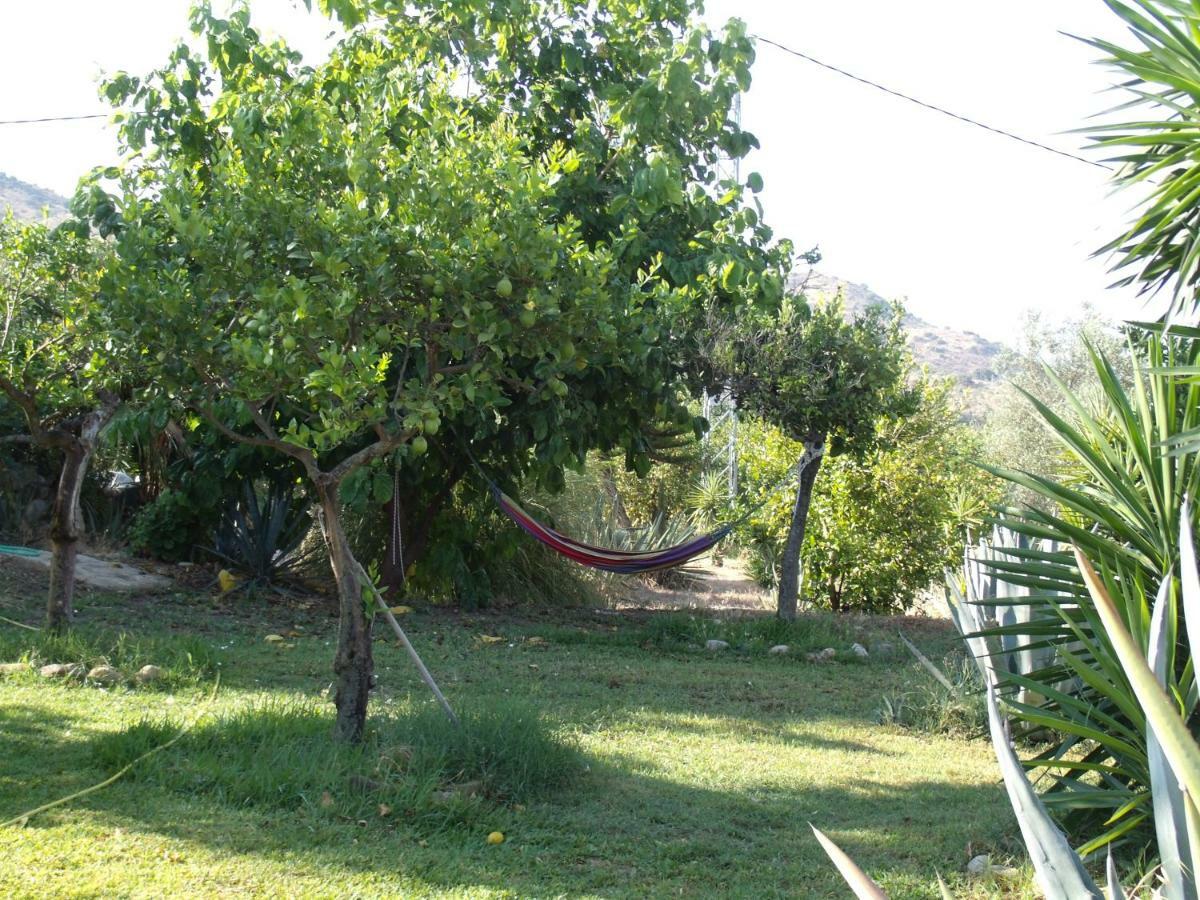 La Blanca *
