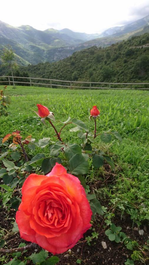 De Montaña Agroturismo *
