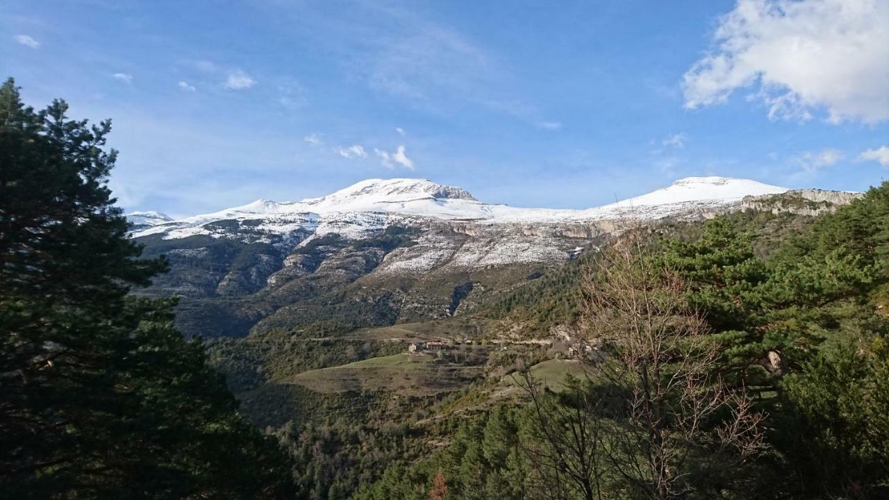 De Montaña * Lamiana