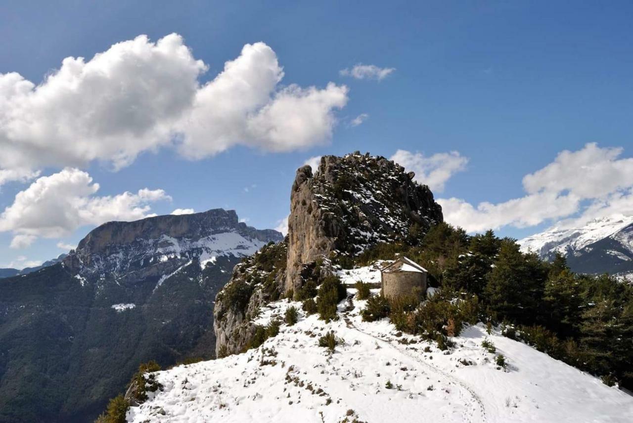 De Montaña Lamiana