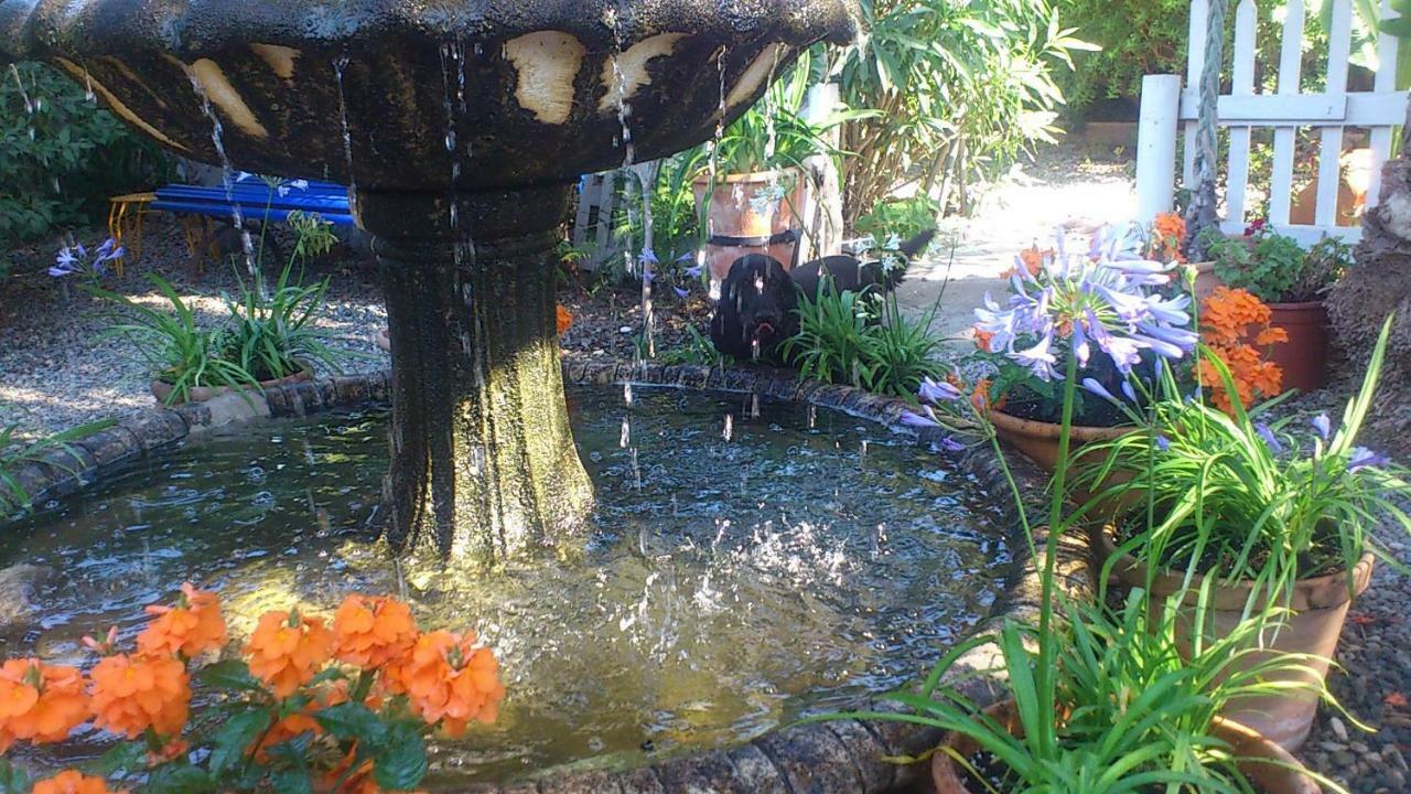 Costa Tropical Oasis Motril