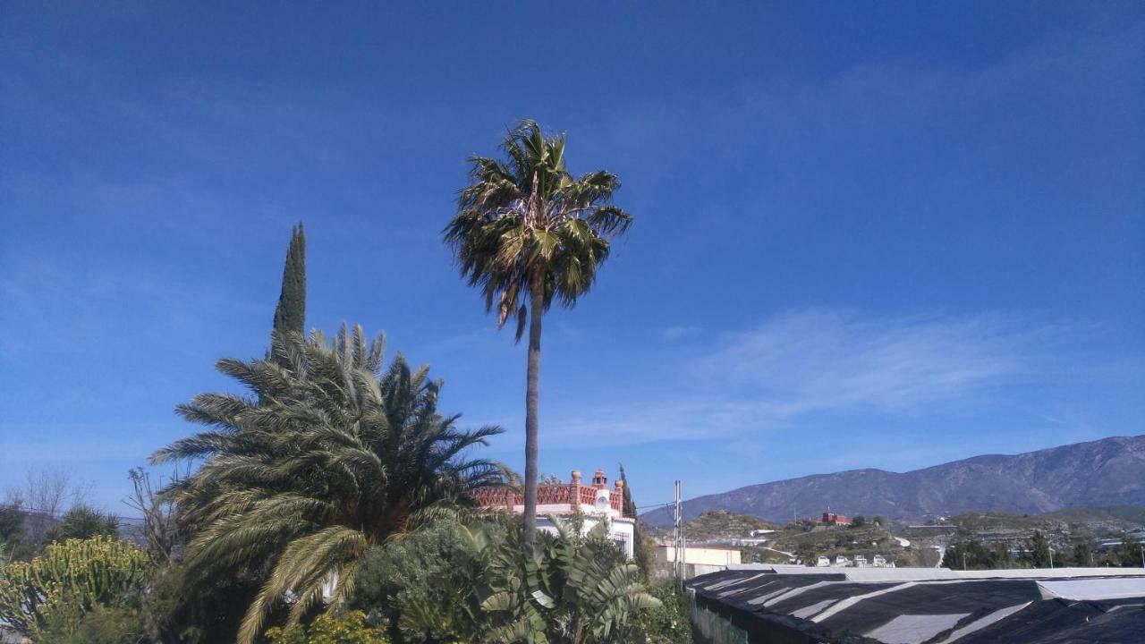 Costa Tropical Oasis