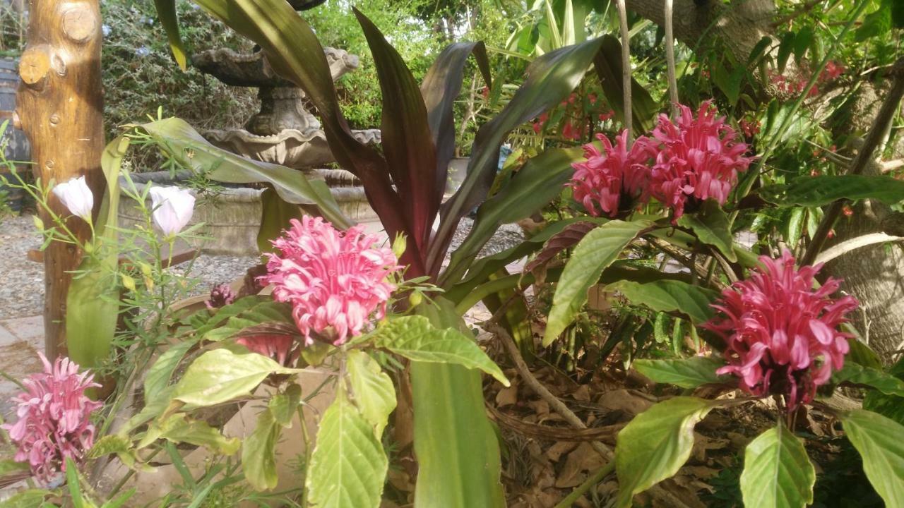 Costa Tropical Oasis * Motril