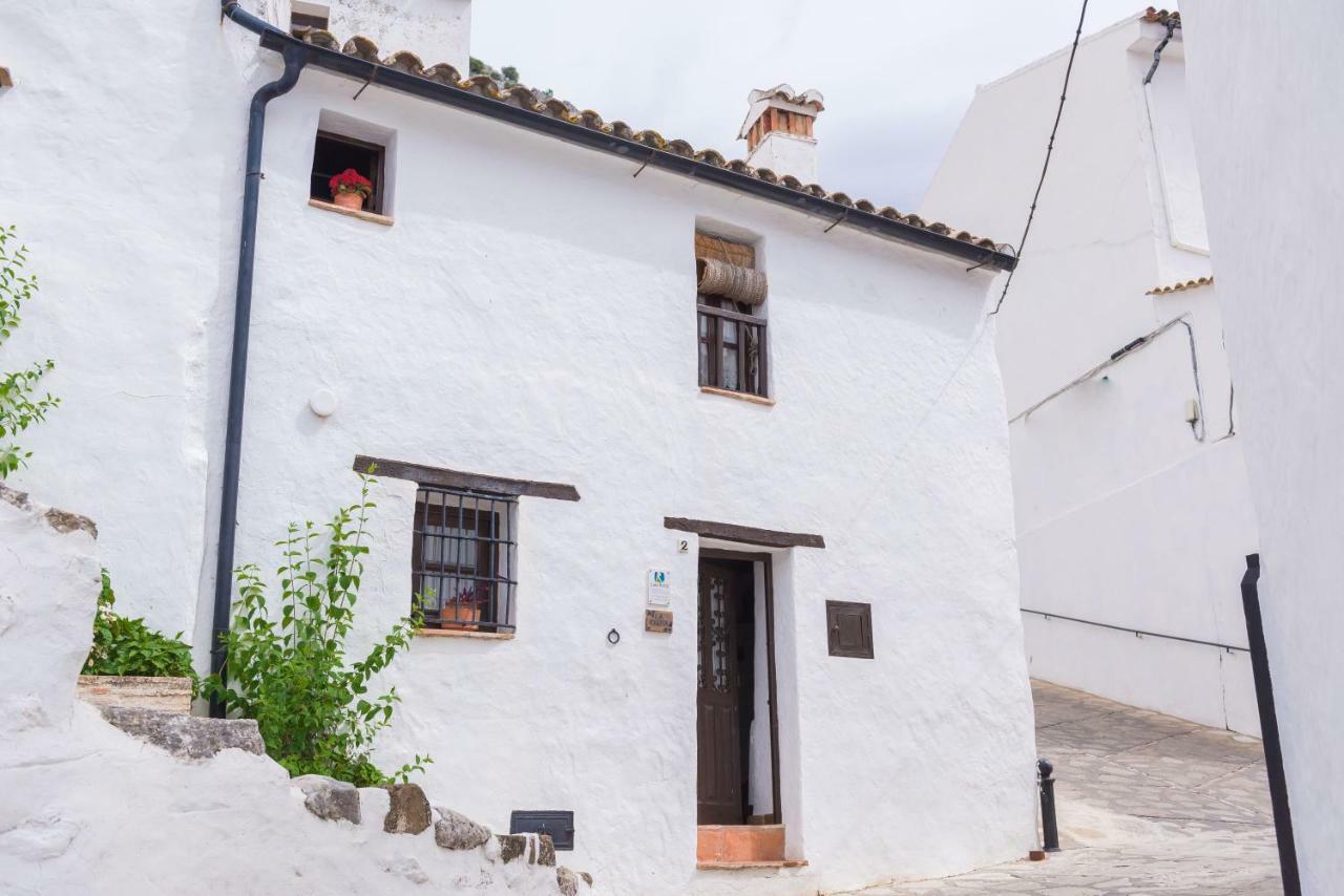 Conjunto Rural Casa Victoria Villaluenga Del Rosario