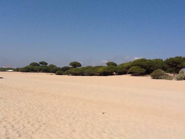 Apartamento Studio Loft Nuevo Portil *