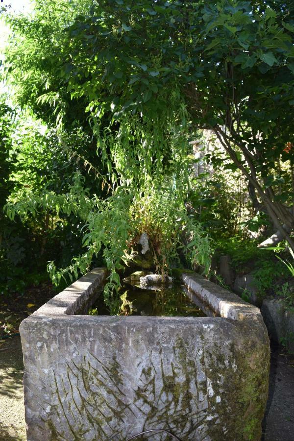 Apartamento Casa Miguel Olea